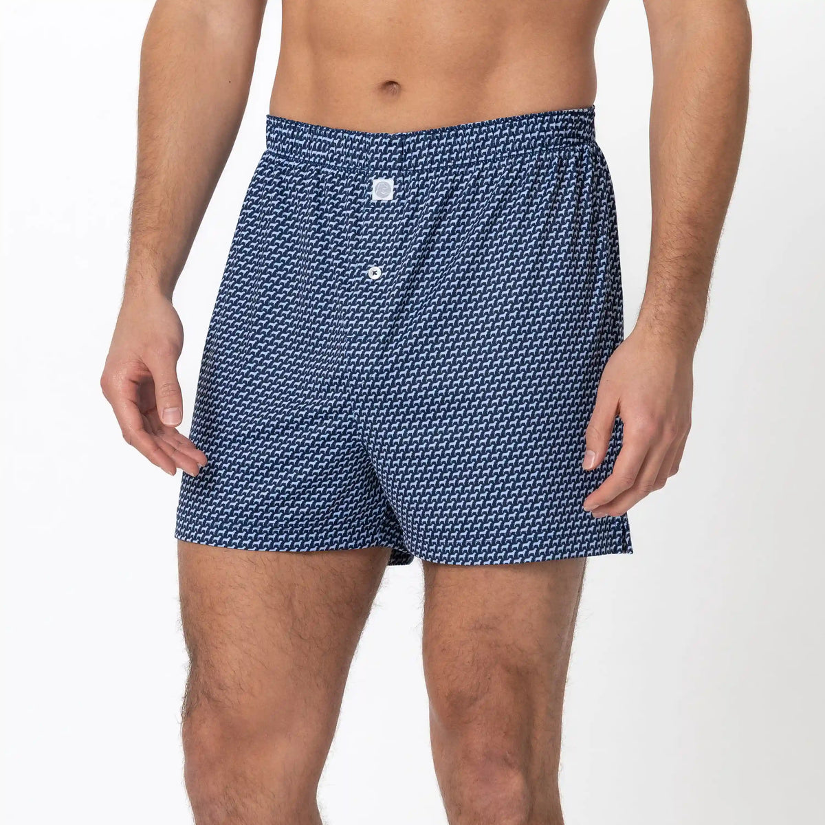 Breeze Performance Boxer | The Tail Wagger - Fleet Navy/Baby Blue